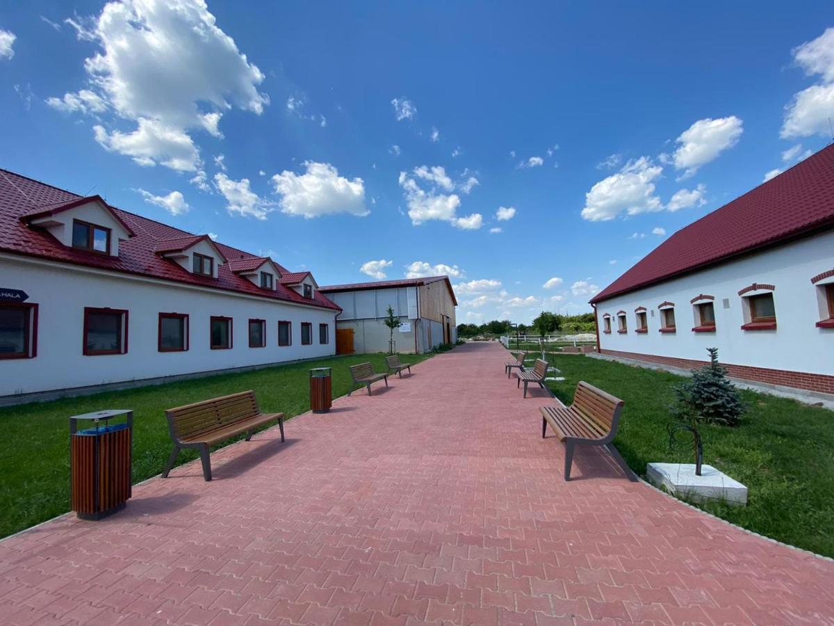 Terra Penzion Jasova Dış mekan fotoğraf